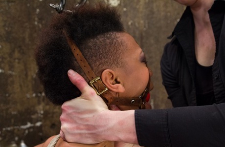 falda de pelo corto mejor desnudo recopilación